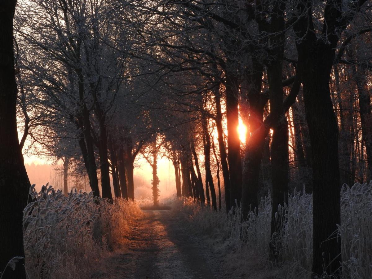 B&B De Blauwververij Blitterswijck ภายนอก รูปภาพ